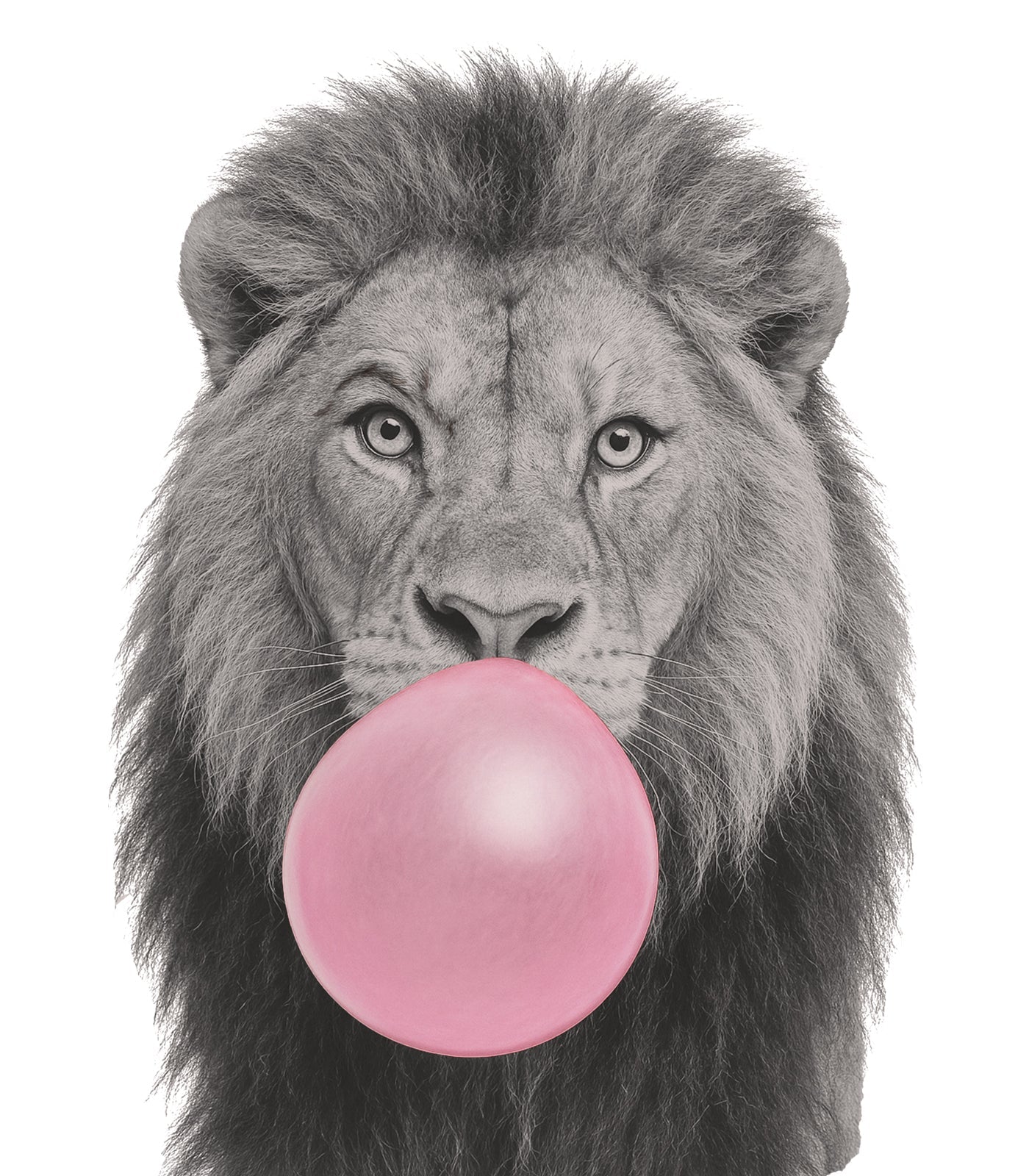 Animaux bubblegum